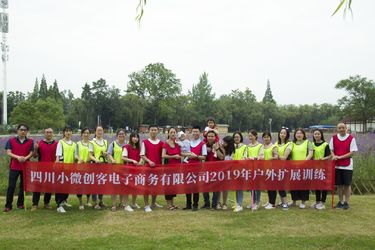 Κίνα Sichuan Small Minimally Invasive Passenger Ecommerce Ltd. Σχεδιάγραμμα επιχείρησης