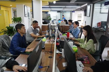 Κίνα Sichuan Small Minimally Invasive Passenger Ecommerce Ltd. Σχεδιάγραμμα επιχείρησης
