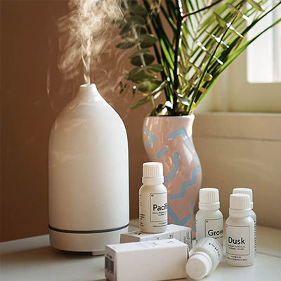 Καλή τιμή Οικιακό ψάρι Aromaterapia Diffusor Geur 5 χρώματα Diffuser 100 ml Κεραμικό αέρας αιθέριας ελαίου Diffuser σε απευθείας σύνδεση